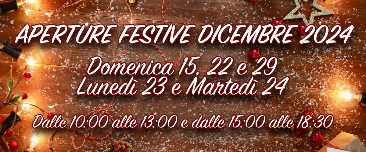 Aperture festive dicembre 2024